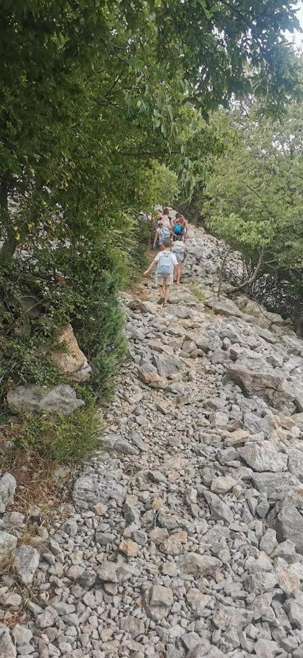 Apartman Milanko Muskovci Εξωτερικό φωτογραφία