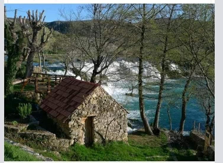 Apartman Milanko Muskovci Εξωτερικό φωτογραφία